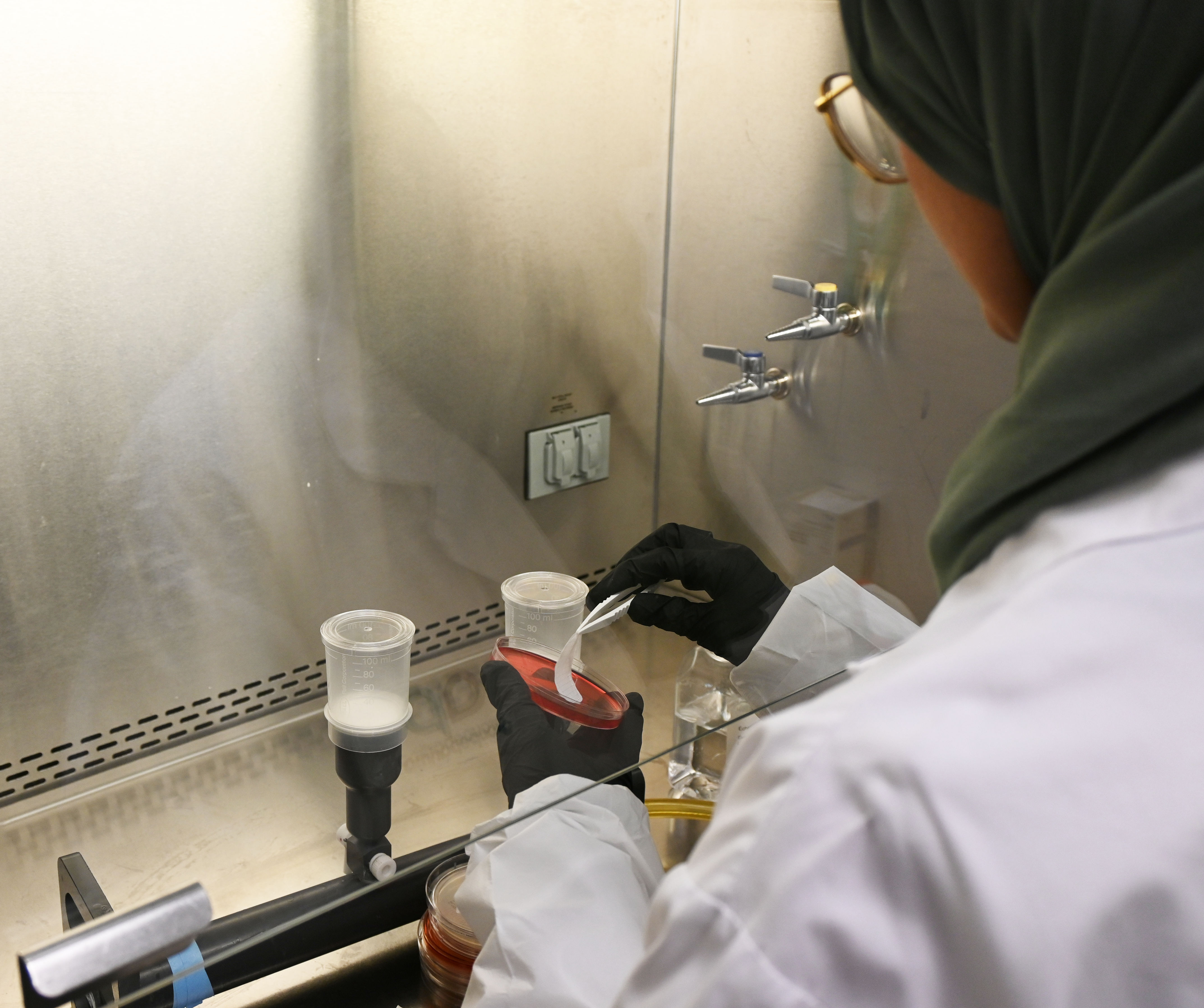 Microbilology test on the analytical Laboratory
